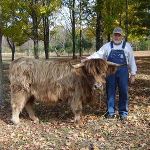 Meet your Posher, Neil